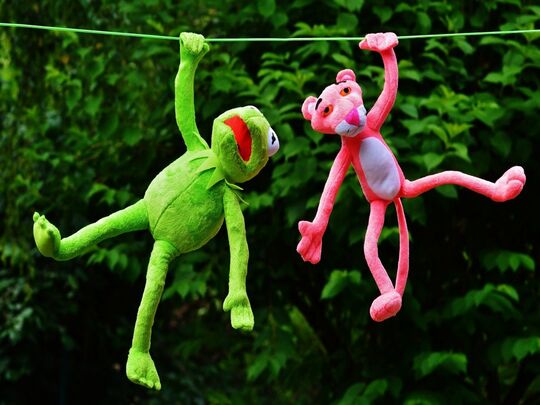 Deux peluches suspendues sur un fil à linge : une grenouille et la panthère rose